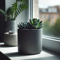 Chậu trồng cây sen đá (Round Succulent Planter) in 3D đẹp mắt - Thumbnail 1
