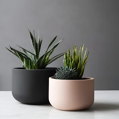 Chậu cây tròn tối giản