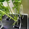 Chân Đỡ Cây Tối Ưu cho Rise Gardens - Thumbnail 2