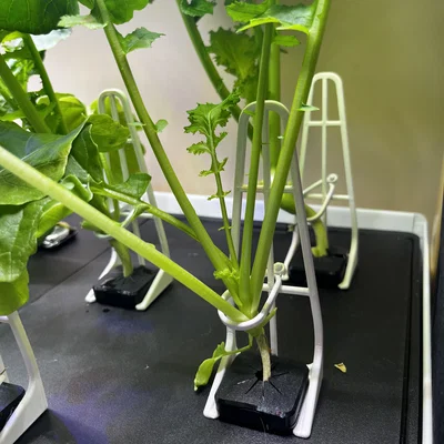 Chân Đỡ Cây Tối Ưu cho Rise Gardens