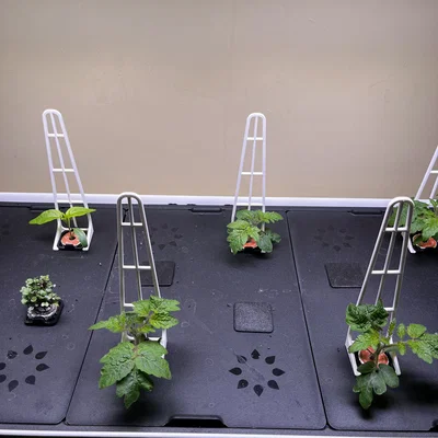 Chân Đỡ Cây Tối Ưu cho Rise Gardens