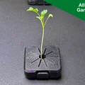 Nắp che Net Cup cho Rise Gardens - Thumbnail 1