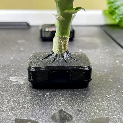 Nắp che Net Cup cho Rise Gardens