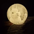 Đèn ngủ 3D Lithophane hình thỏ và gà con dễ thương - Thumbnail 3