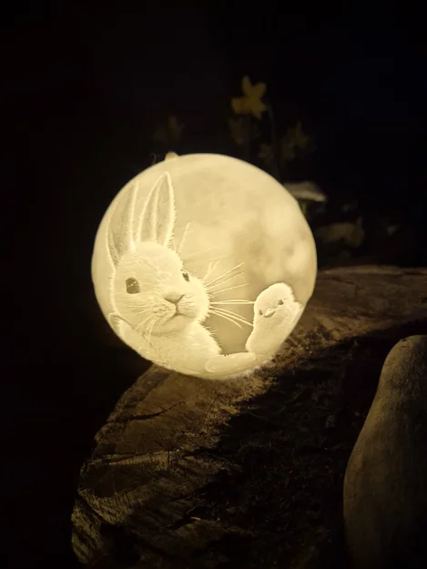Đèn ngủ 3D Lithophane hình thỏ và gà con dễ thương - Image 4