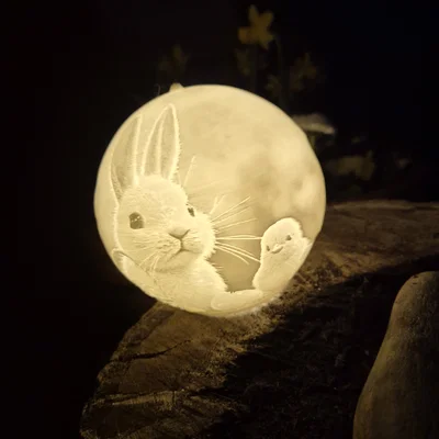Đèn ngủ 3D Lithophane hình thỏ và gà con dễ thương
