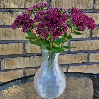 Mẫu lọ hoa Low Poly hiện đại - File in 3D cho Vase Mode