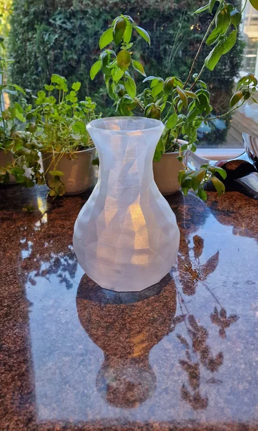 Mẫu lọ hoa Low Poly hiện đại - File in 3D cho Vase Mode - Image 3