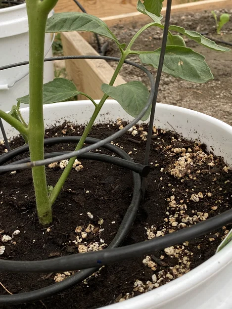 Nút Bịt Cuối Ống Tưới Nhỏ Giọt 1/4" (Irrigation Drip Line End Plug) - Image 1