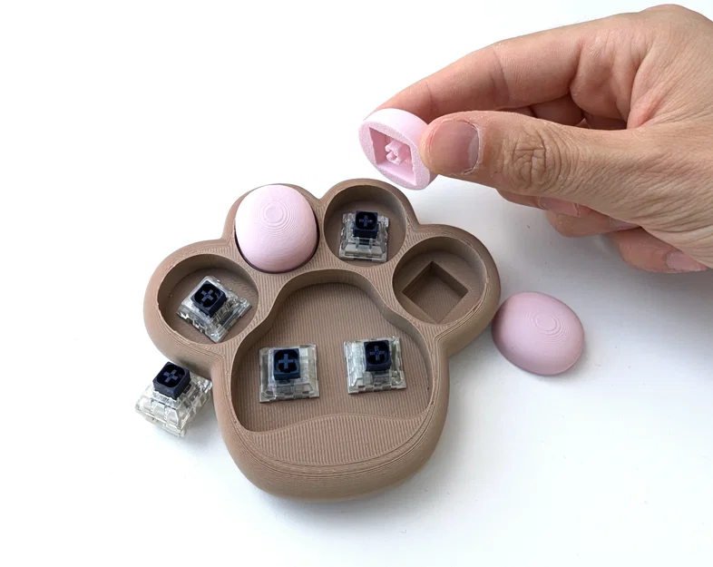 Fidget Paw – Đồ chơi fidget hình bàn chân dùng switch MX - Image 5