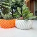 Chậu trồng cây/ bình trang trí họa tiết xoắn ốc (Spiral pattern planter pot vase) - Thumbnail 1