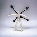 Dummy bốn tay (Four arm dummy) - Thumbnail 4
