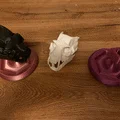 Đầu Lâu Người Sói Kèm Chân Đế (Werewolve Skull with Stand) - Thumbnail 5