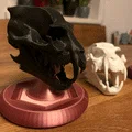 Đầu Lâu Người Sói Kèm Chân Đế (Werewolve Skull with Stand) - Thumbnail 9