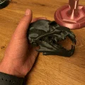 Đầu Lâu Người Sói Kèm Chân Đế (Werewolve Skull with Stand) - Thumbnail 13