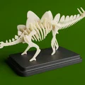 Bộ Kit Card Xương Stegosaurus (Stegosaurus Skeleton Kit Card) - Thumbnail 1