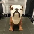 Chó Bulldog Anh Ngồi (Sitting English Bulldog) - Thumbnail 1