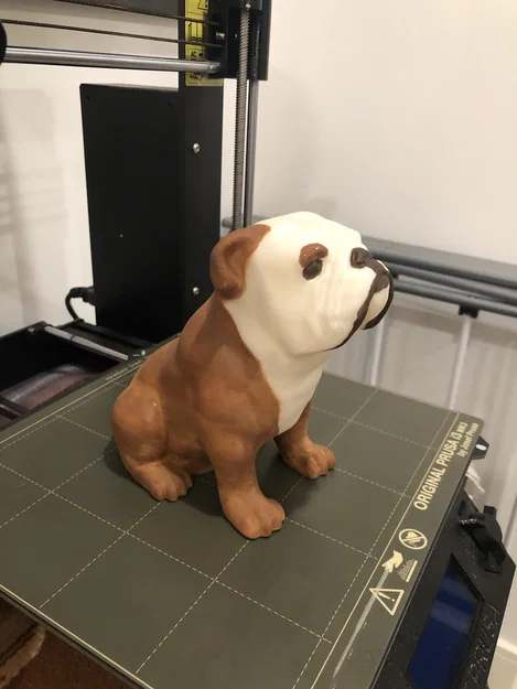 Chó Bulldog Anh Ngồi (Sitting English Bulldog) - Image 2