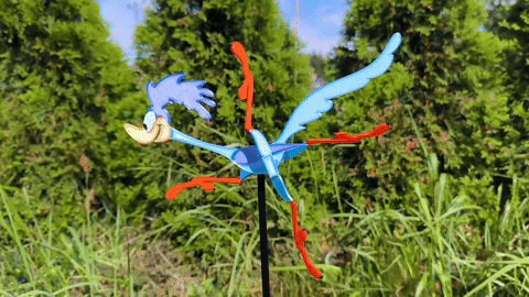 Wind Road Runner – Roadrunner chạy bằng sức gió - Thumbnail 2