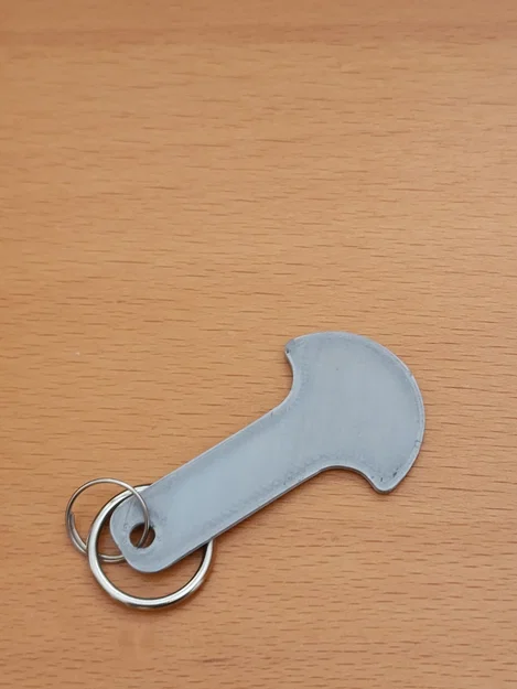 Token cho xe đẩy siêu thị (tương thích đồng Loonie Canada) - Image 2