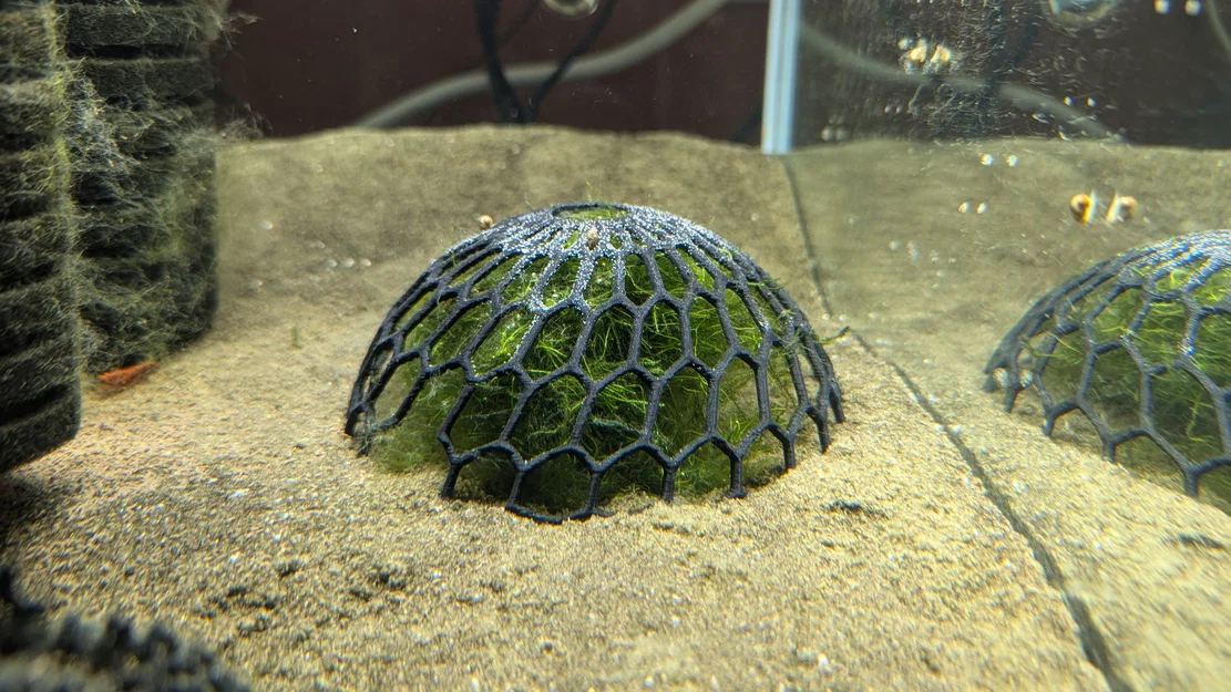 Vòm lưới 3D cố định rêu và cây thủy sinh cho hồ cá - Image 1