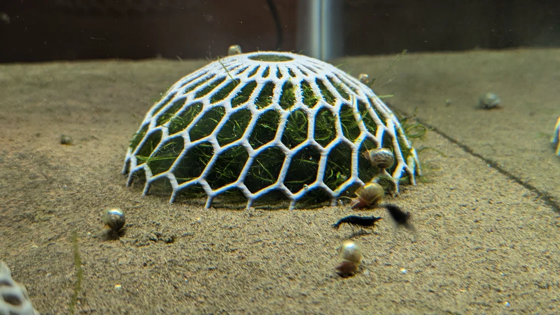 Vòm lưới 3D cố định rêu và cây thủy sinh cho hồ cá - Image 2