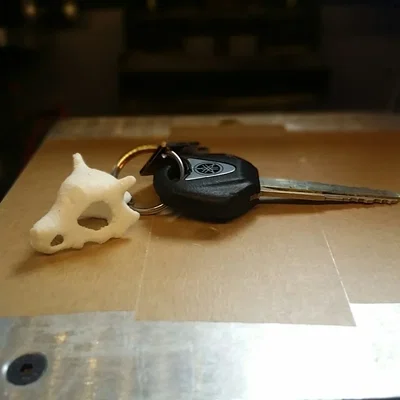 Móc khóa hình đầu lâu Skull Keychain phong cách cá tính
