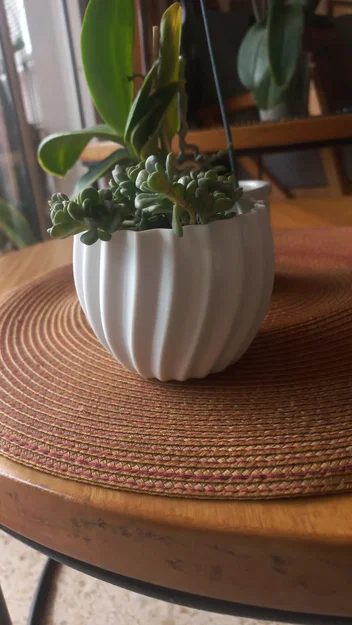 Mẫu chậu trồng cây mini hình vỏ ốc in 3D đẹp mắt - Image 2