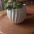 Mẫu chậu trồng cây mini hình vỏ ốc in 3D đẹp mắt - Thumbnail 2