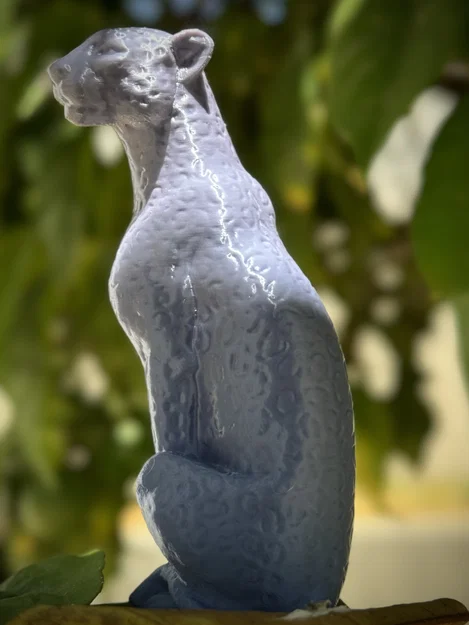 Báo gê-pa ngồi (Sitting Cheetah) - Image 2