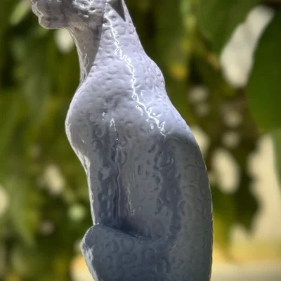 Báo gê-pa ngồi (Sitting Cheetah)