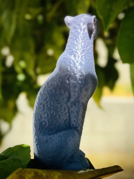 Báo gê-pa ngồi (Sitting Cheetah) - Image 3