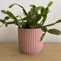 Chậu Cây Cảnh Trang Trí (Plant Pot) In 3D Hiện Đại - Thumbnail 1