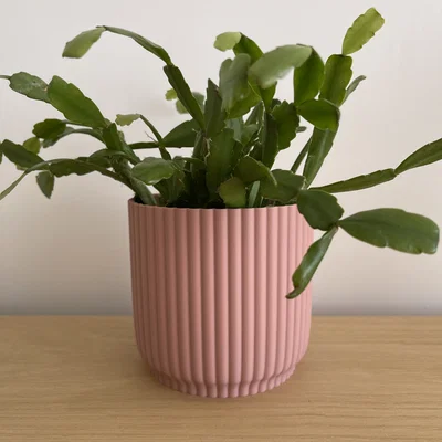Chậu Cây Cảnh Trang Trí (Plant Pot) In 3D Hiện Đại