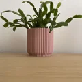 Chậu Cây Cảnh Trang Trí (Plant Pot) In 3D Hiện Đại - Thumbnail 2