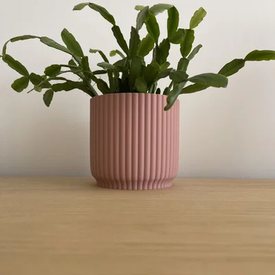 Chậu Cây Cảnh Trang Trí (Plant Pot) In 3D Hiện Đại