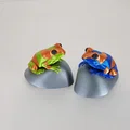 Mô hình ếch 3D trên đá (Frog on a rock) - Thumbnail 2