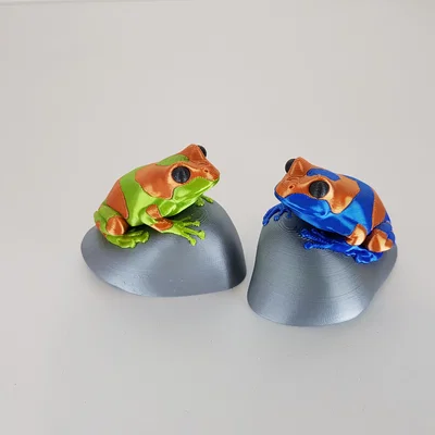 Mô hình ếch 3D trên đá (Frog on a rock)