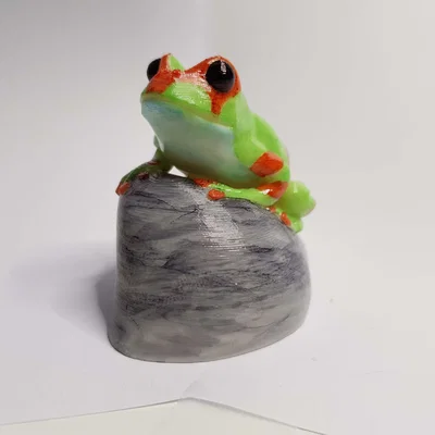Mô hình ếch 3D trên đá (Frog on a rock)