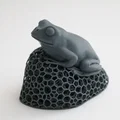 Voronoi Lattice Frog - Thumbnail 1