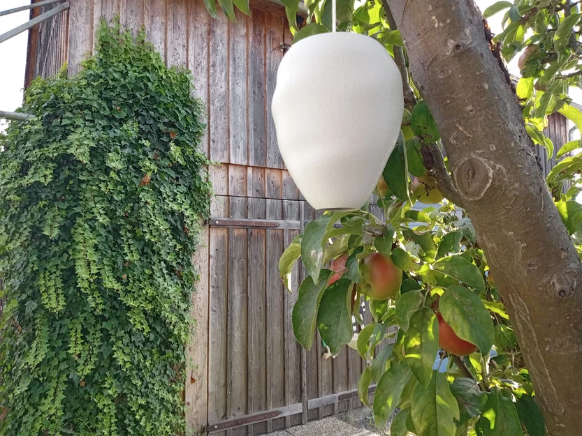 Mô hình tổ ong bắp cày giả (Wespennest-Attrappe / wasp nest dummy) - Image 1