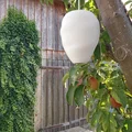 Mô hình tổ ong bắp cày giả (Wespennest-Attrappe / wasp nest dummy) - Thumbnail 1