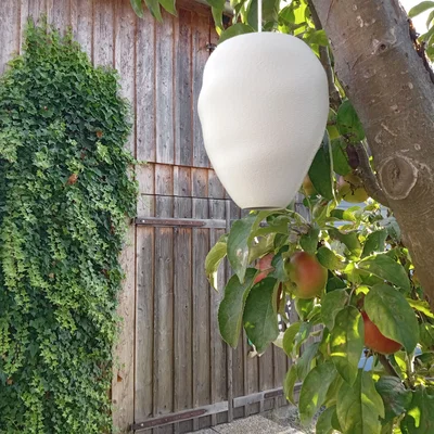 Mô hình tổ ong bắp cày giả (Wespennest-Attrappe / wasp nest dummy)