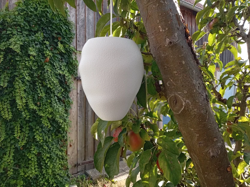 Mô hình tổ ong bắp cày giả (Wespennest-Attrappe / wasp nest dummy) - Image 2