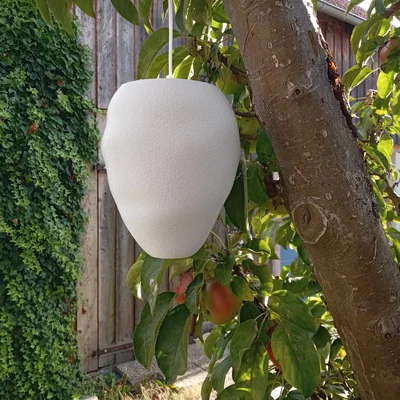 Mô hình tổ ong bắp cày giả (Wespennest-Attrappe / wasp nest dummy)