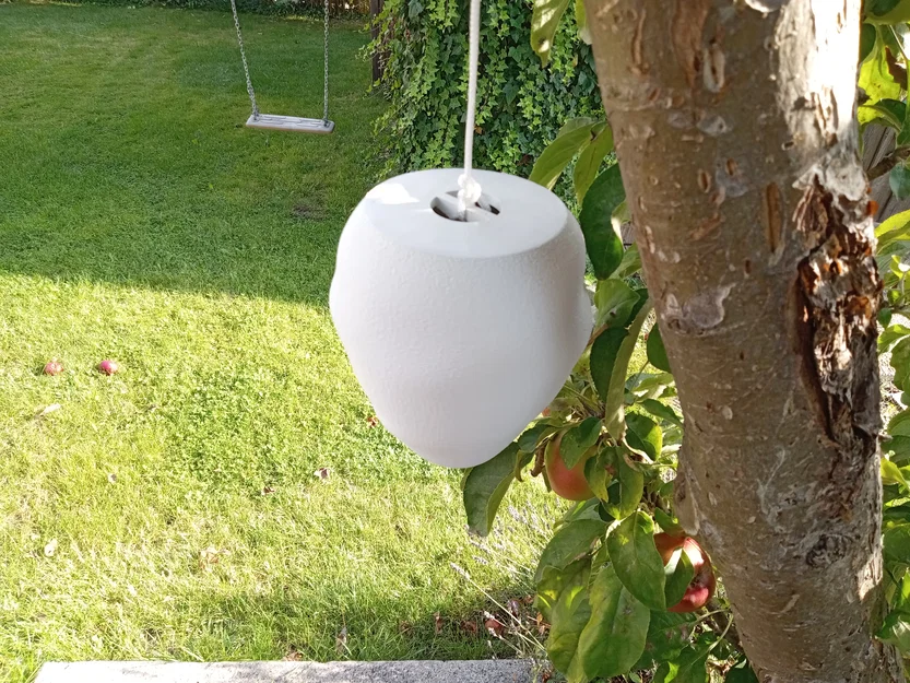 Mô hình tổ ong bắp cày giả (Wespennest-Attrappe / wasp nest dummy) - Image 3
