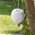 Mô hình tổ ong bắp cày giả (Wespennest-Attrappe / wasp nest dummy) - Thumbnail 3