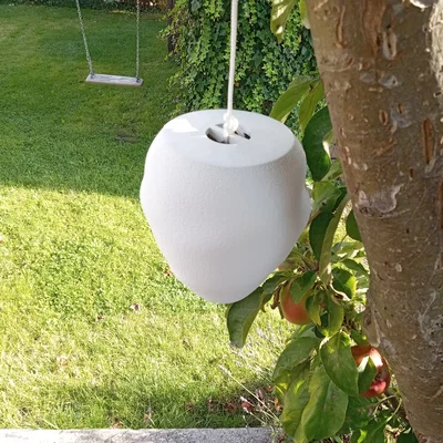 Mô hình tổ ong bắp cày giả (Wespennest-Attrappe / wasp nest dummy)