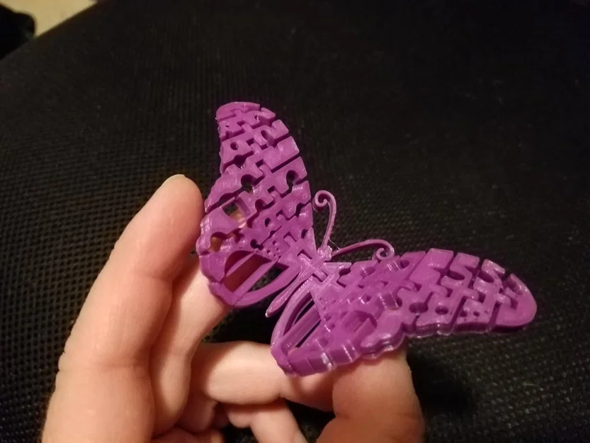 Bướm Khớp Nối (Remix) - Image 2