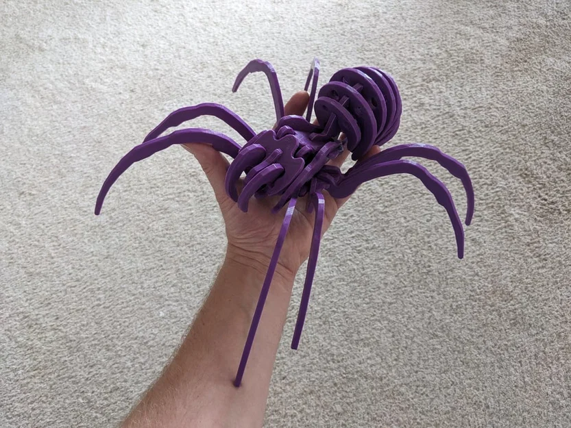 Spider Kit - Large - Separated - Image 1